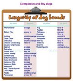 longevity-com-toy