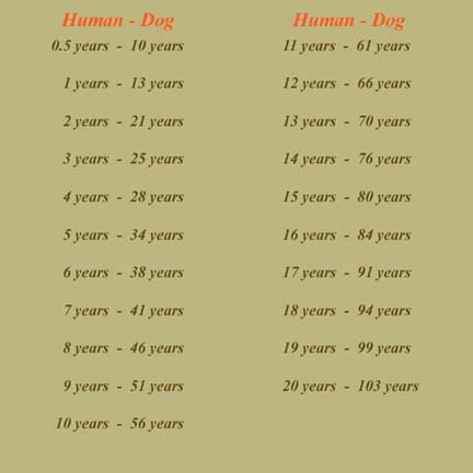 Dog Human Age Chart