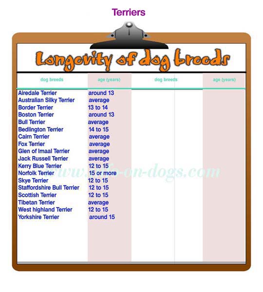longevity of terriers