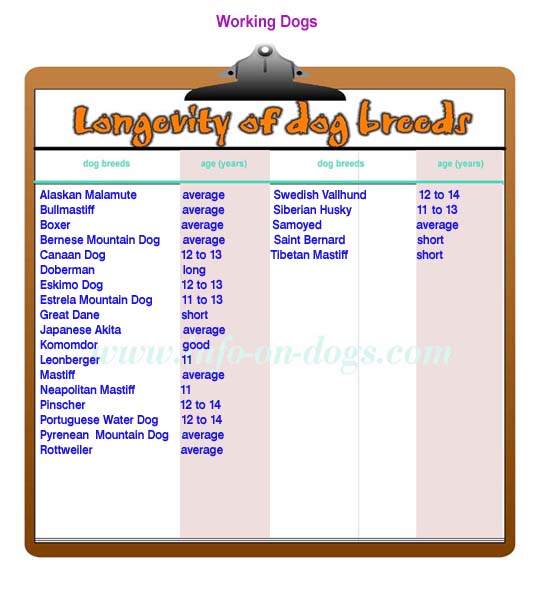 dog breeds chart. longevity of working dogs