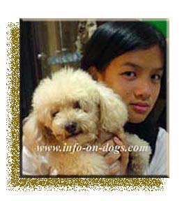 Agnes-poodle