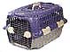 dog-crate