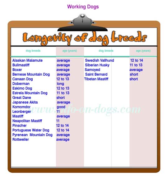 longevity of working dogs